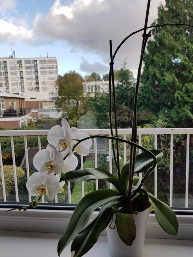 Sunny Guesthouse Амстердам Екстериор снимка